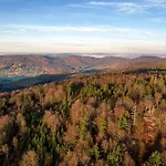 Nr 15c, Hagbuegerl, Bayr Wald
