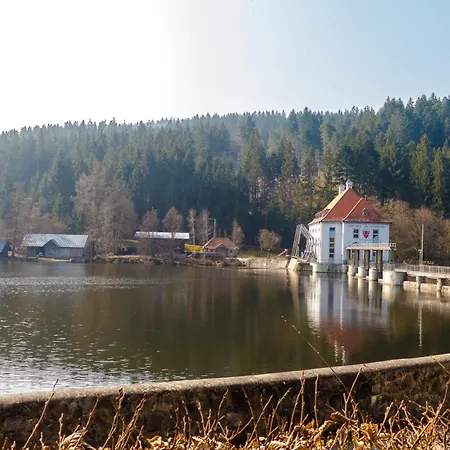 Nr 15c, Hagbuegerl, Bayr Wald