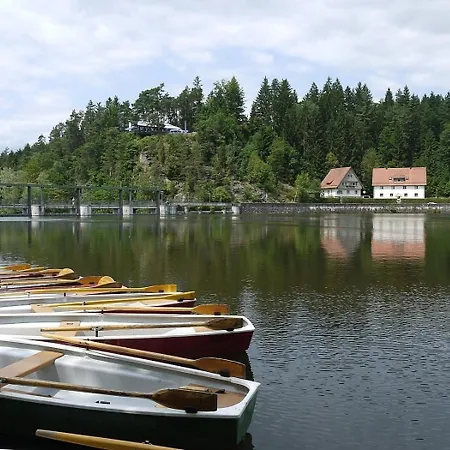 Nr 15c, Hagbuegerl, Bayr Wald *