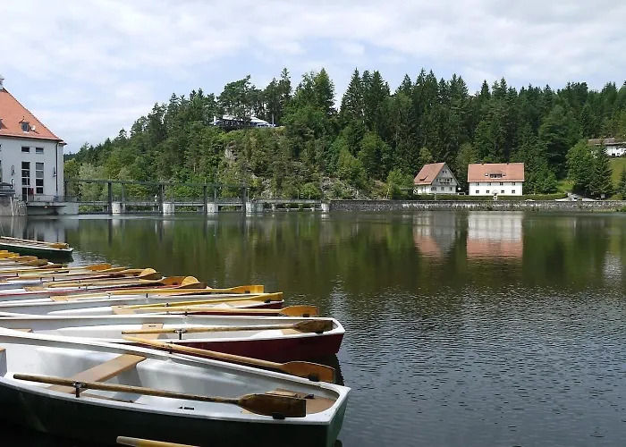 Nr 15c, Hagbuegerl, Bayr Wald *